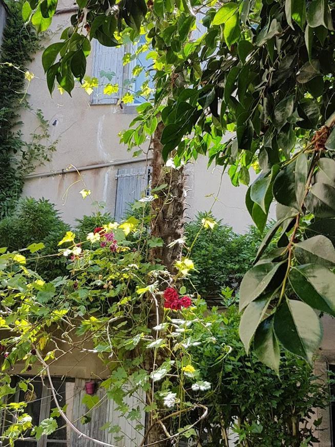 Chambre D'Hote La Passerelle Mazamet Zewnętrze zdjęcie