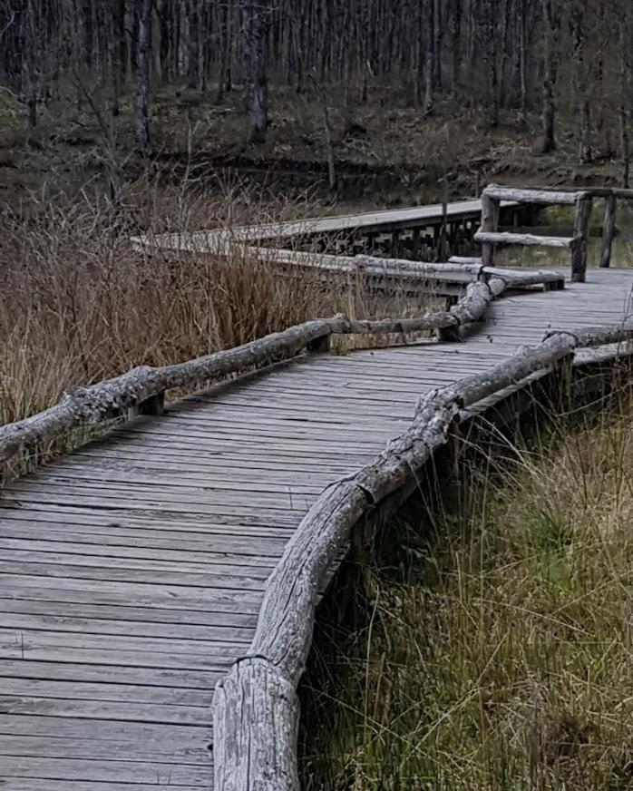 Chambre D'Hote La Passerelle Mazamet Zewnętrze zdjęcie